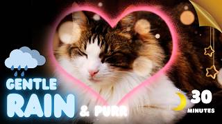 Deep Sleep Sounds | Cat Purring & Gentle Rain Sounds for Relaxation (30 min)
