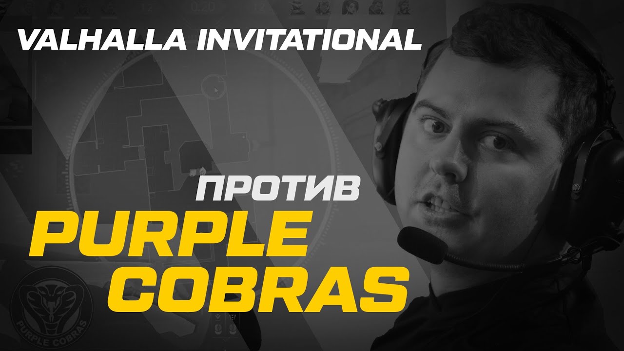 PartyParrots vs Purple Cobras \\ Valhalla Invitational 4 \\ Координирование команды