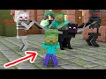 Monster School : IS BABY ZOMBIE POISONED ? - Minecraft Animation