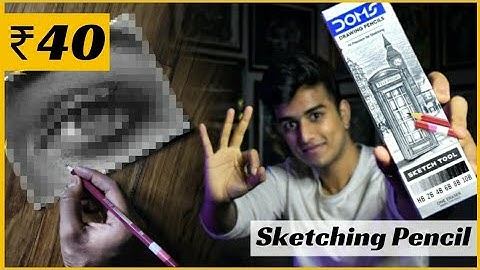 Drawing with ₹40 PENCILS | Result SHOCKED Me ! 😳😍 DOMS Pencils