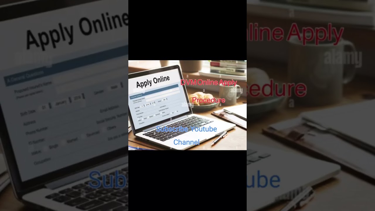 DVM Online apply procedure