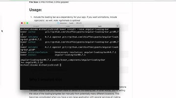 Angular Loading Bar   ChiefFancyPants