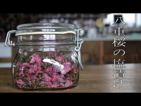 八重桜の塩漬け 手作りで綺麗な桜の塩漬けをつくりましょう Diw セルフリノベーション Youtube