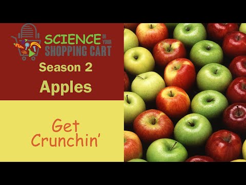 Video: Cameo obelų priežiūra – išmokite auginti Cameo obuolius namuose