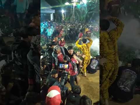 BANTENGAN MACAN KUMBANG DI KAJANG #shorts