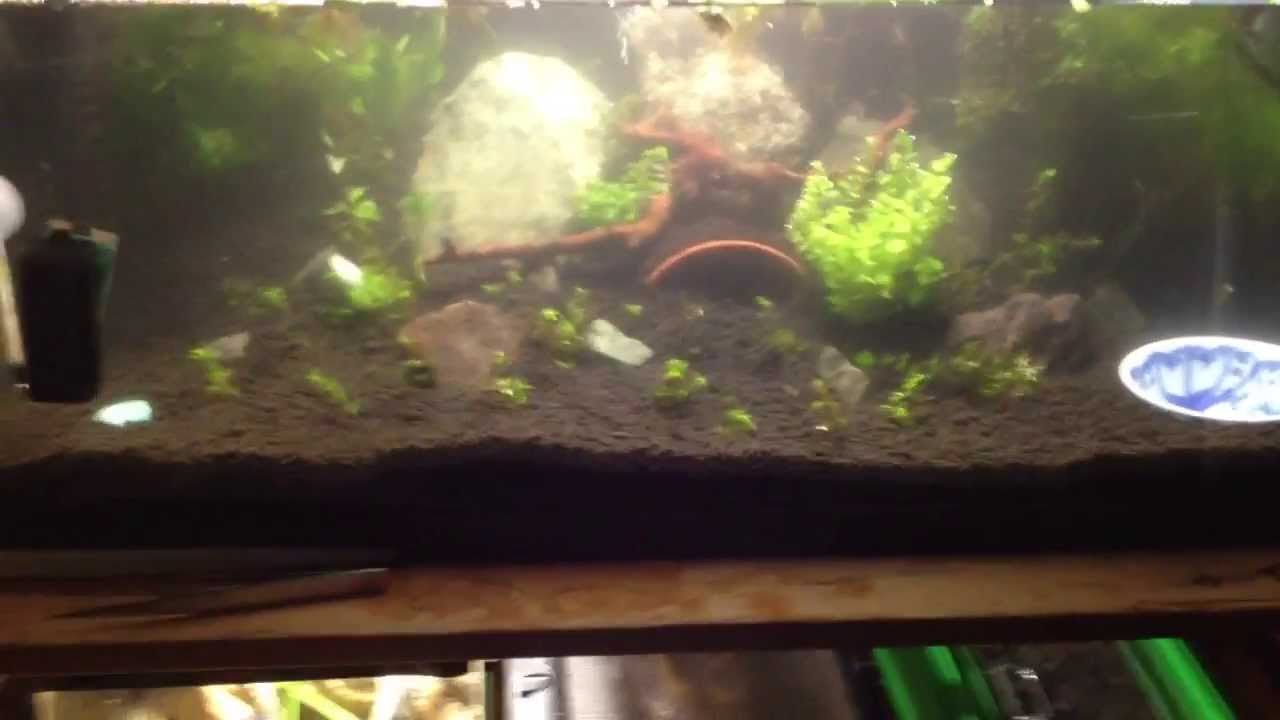 Snakes1000000 contest entry!