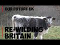 RE-WILDING BRITAIN || The Key To Saving Our Wildlife