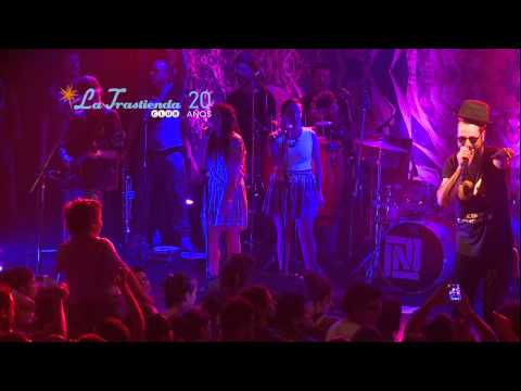 Nonpalidece - Grita Lo Que Sientes (VIVO) HD