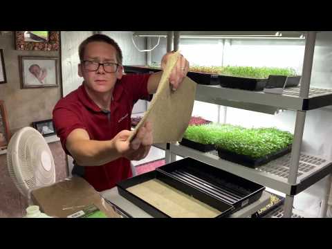 How To Grow Microgreens On Jute Mats