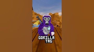 Every Time I Enter A New Map The Color Changes #viralshort #gorillatag #reccomended #lemming #fyp