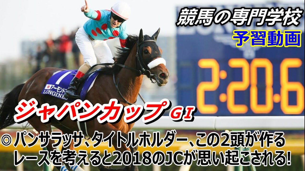ジャパンカップ外国馬の現地購入馬券 パンサラッサ (第43回ジャパンカップ) 馬券ポーチ | 馬site