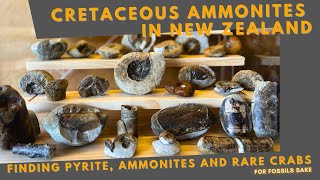Rare Crabs & Cretaceous Ammonites Found in New Fossil Location