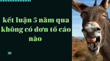 LẠI CẢNH BÁO LỪA ĐẢO VÀ CÁI KẾT #skyway #đầu_tư_skyway #yunitsky #skyway_capital #skywayvtv1