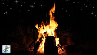 Cozy Campfire at Night 🔥 Burning Fire & Crackling Fire Sounds (NO MUSIC) by Cat Trumpet 3,175 views 4 weeks ago 12 hours