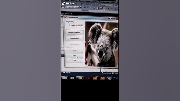 Programming with tiktok [funny] 😍😘❤