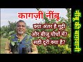 200. कागज़ी नींबू: कौन से पौधें और कितनी दूरी पर लगाए? Type and distance of acid lime plants