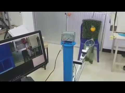 Stereo Camera (ได้พิกัด x,y,z)+AI แบบ Deep Learning(ค้นหาผลไม้) แล้วติดตั้งที่แกน Z ของหุ่นยนต์