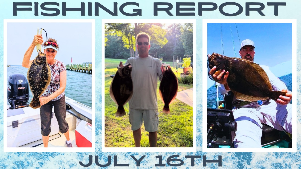 New Jersey Fishing Report July 17th #surffishing #fluke #fishingreport #fishingtips #stripedbass
