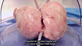 Ex Vivo Lung Perfusion Program