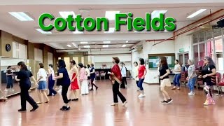 Cotton Fields linedance. Choreo - Lita Arnanda (INA) - May 2024