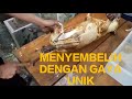 CARA BARU MOTONG ANJING TANPA MENCUCUK LEHER ATAU BADAN. CUMA PAKAI TALI DAN GONI PERHATIKAN INI!