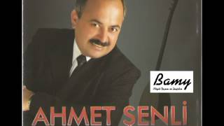 ÖZLEDİM AHISKAYI -AHMET ŞENLİ Resimi