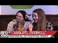 Capture de la vidéo Radio From Hell 2017 Film Festival Coverage: "Axolotl Overkill"
