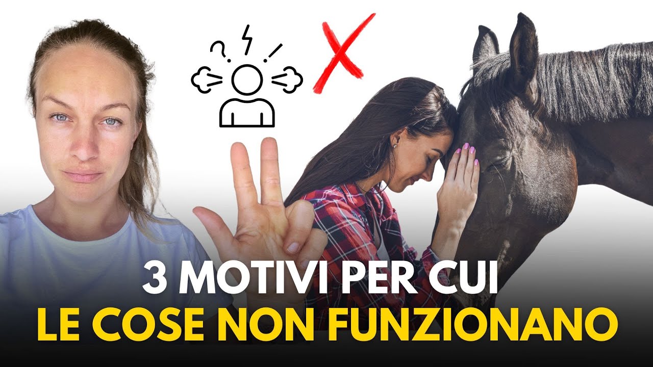 Problemi con il cavallo! 3 motivi per cui le cose NON funzionano!