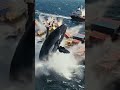Shark attack cruise Ships #damage #cruiseship #lifeisbutadream