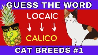 WORD SCRAMBLE GAME - CAT BREEDS Quiz #1: Jumbled Letter Puzzle. screenshot 3