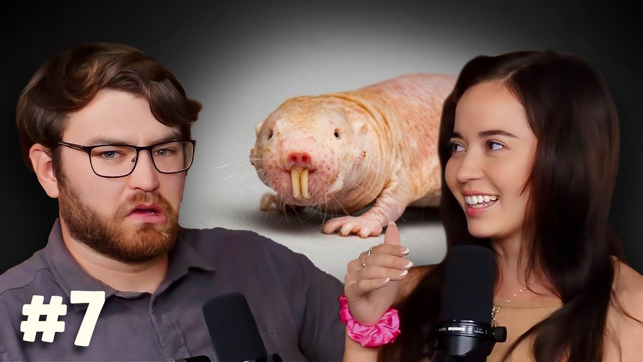 World's Weirdest: Can Naked Mole Rats Survive Without Oxygen?