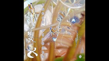 INDEX:Vol.3 [full compilation]