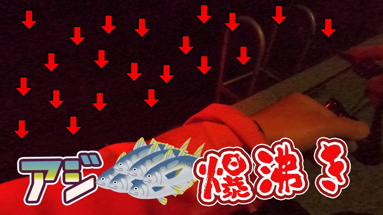 【アジング】アジを求めて大遠征したら爆沸きしてた！南あわじ【ライトゲーム】