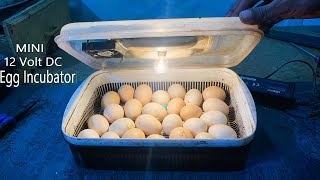How To Make Mini 12V Dc Egg Incubator At home - Hatch chicks