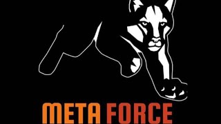 MetaForce Presentation