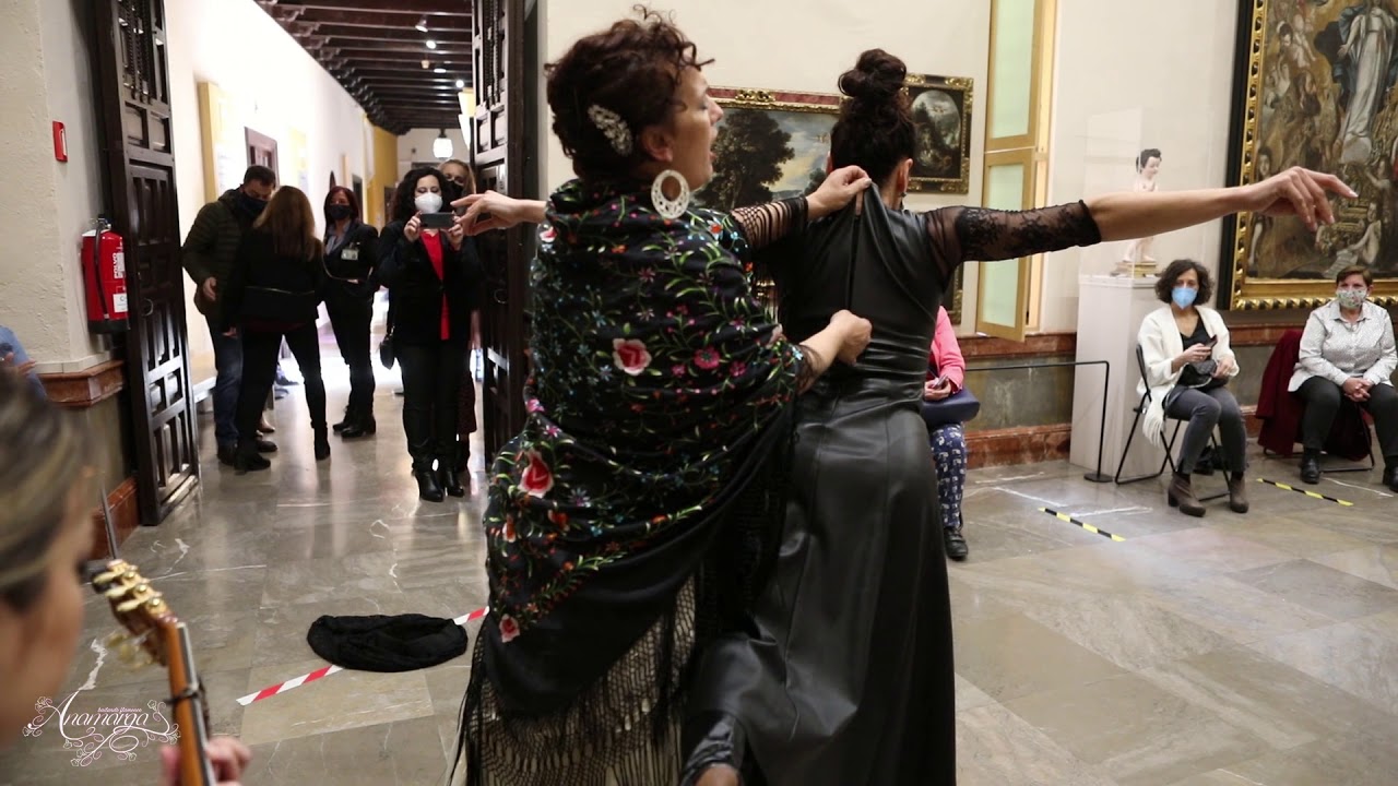 Anamarga flamenco MuseoBellaArtesCordoba part01