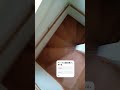 なんか飛んだんやけど！！