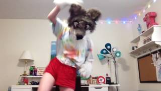 Wiggly Medley Fursuit Dance