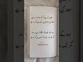 urdo poetry line #poetry#urdupoetry #shorts #viralshorts #shortsfeed#trending