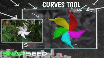 Rainbow Flower editing in snapseed Curves tool 5 colours flower editing ||