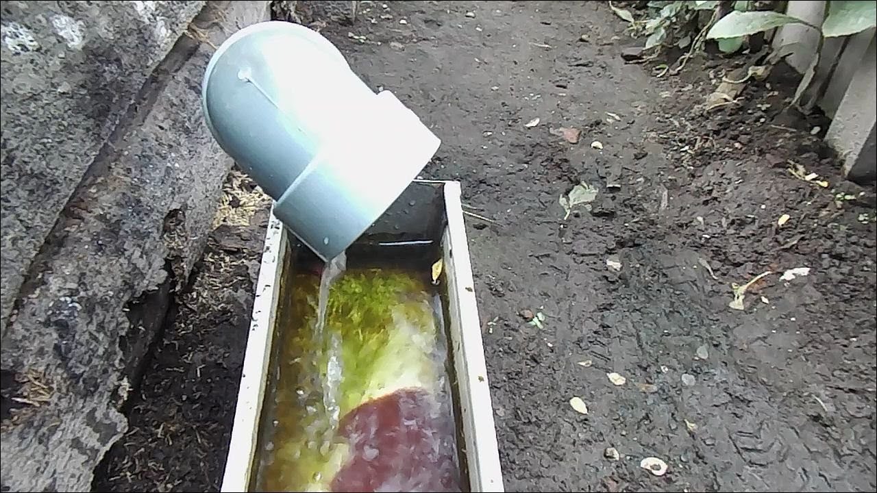 Cara Praktis Menyimpan Cacing Sutra 