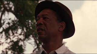 Red Finds Andys Message  The Shawshank Redemption (1994)  Movie Clip HD Scene
