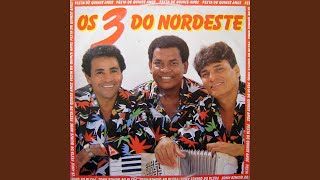Video thumbnail of "Os 3 do Nordeste - Deixa eu Me Apaixonar"