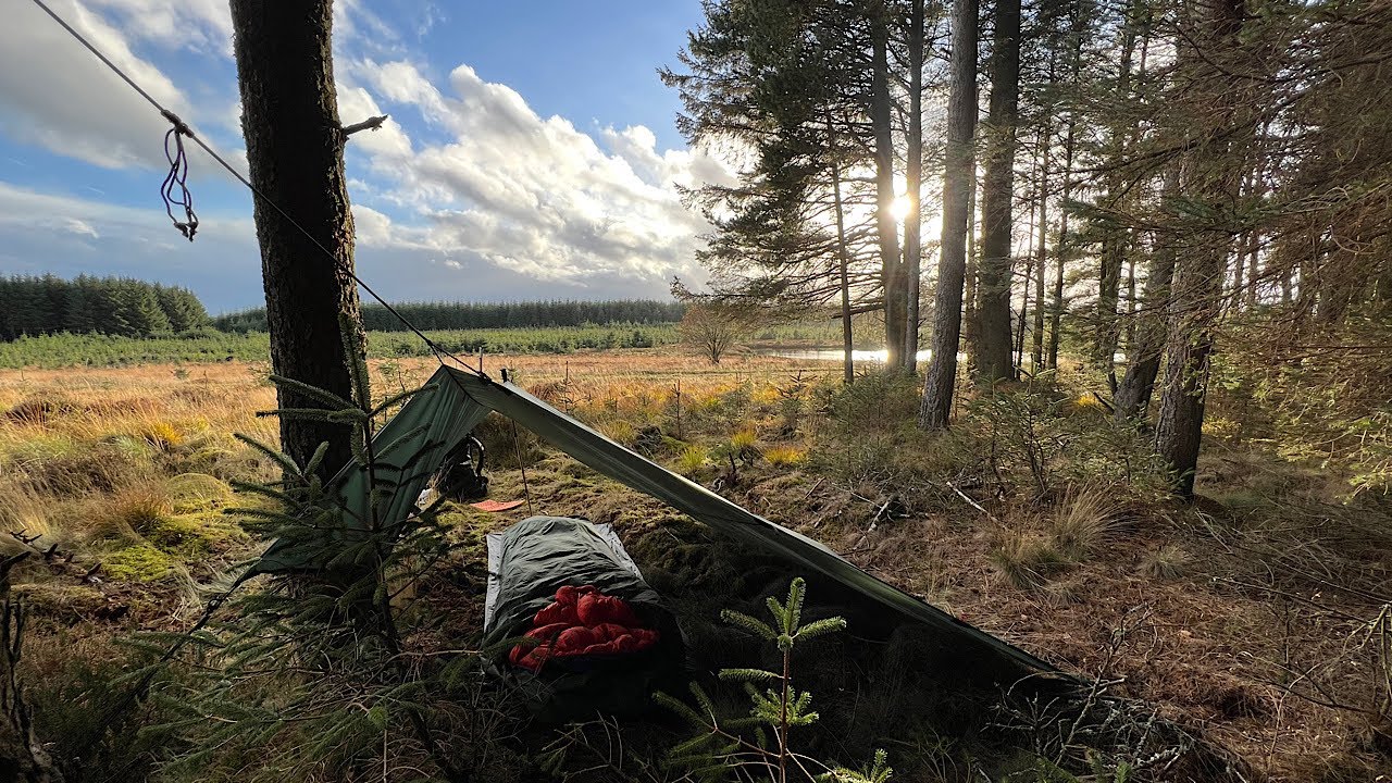 Tarp And Bivy Camp In a Northumberland Forest