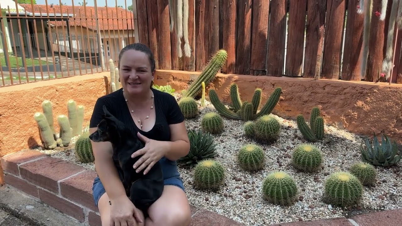 A Bicicleta Amarela Voltou… Qual Jardim Vai Ganhar Esse Arranjo?