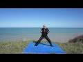 Qigong F.I.T. Five Animal Stretches