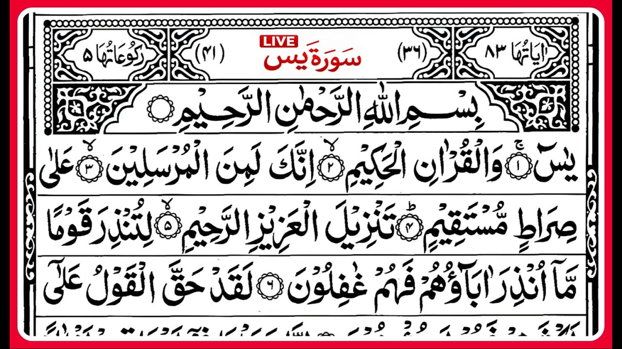 🔴live Surah Yaseen | Surah Rahman | DailyQuran tilawat Surah Mulk Full I beautiful recitation