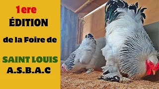 Revivez la toute première ÉDITION de la Foire de SAINT LOUIS : A.S.B.A.C