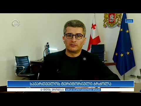 საქართველოს ტერიტორიული ბრძოლა - მამუკა მდინარაძე \"დღის ქრონიკაში\"