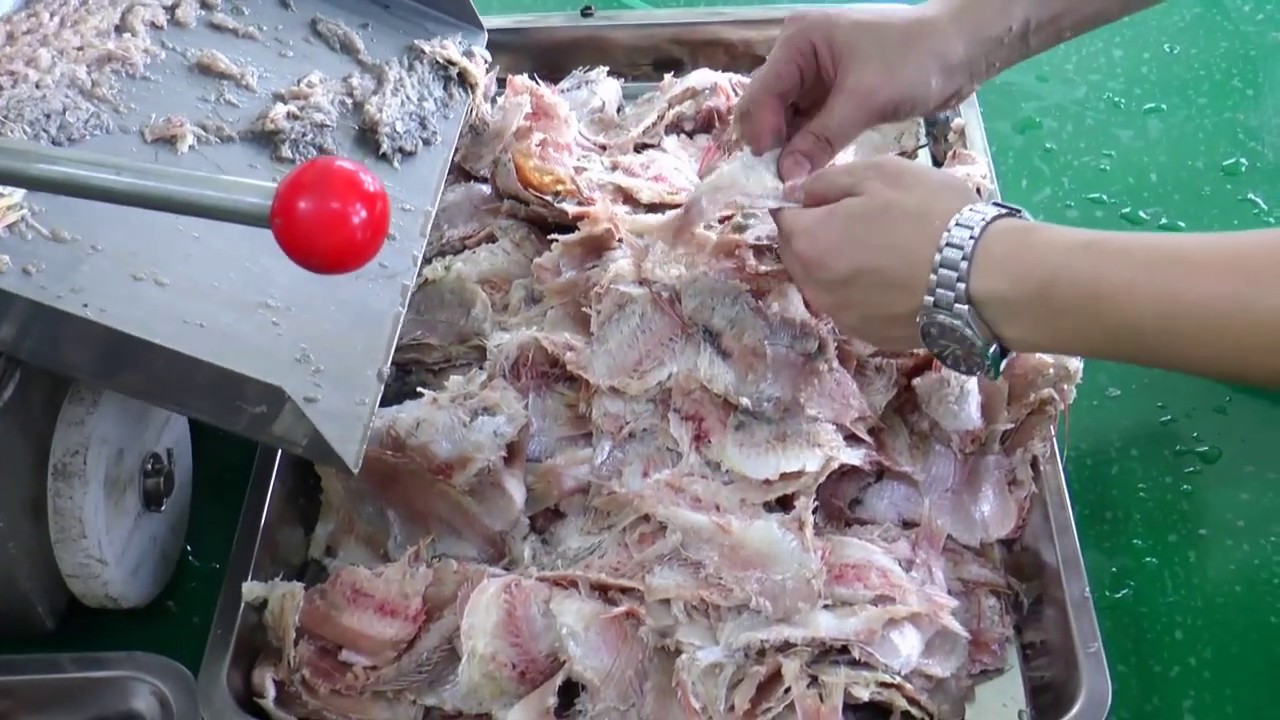 Processing fish into fish balls(small experimental machine) - YouTube